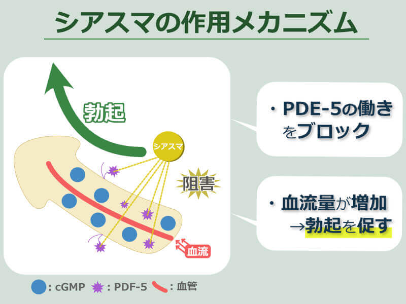 シアスマ 作用メカニズム