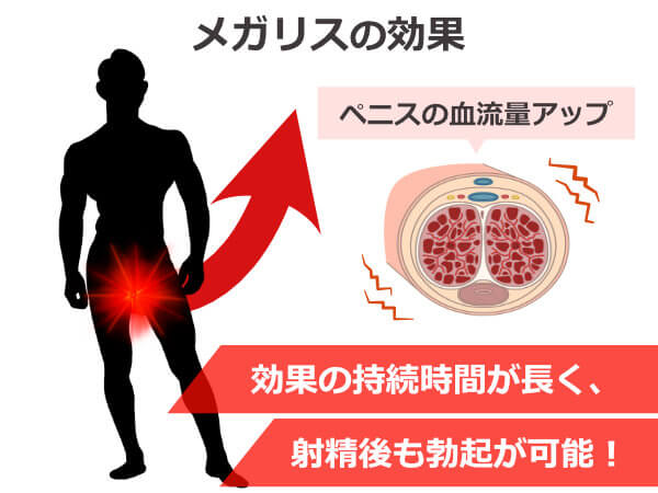 メガリスの効果｜効果の強さや持続時間、安全性を徹底解説