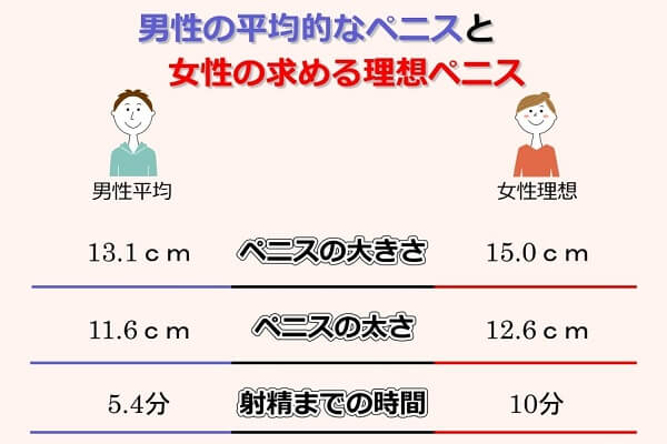 男性の平均的なペニスと女性の理想のペニス比較