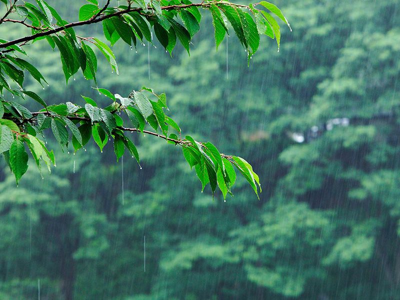 雨が降っている景色