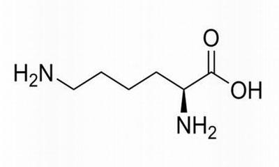 リジン