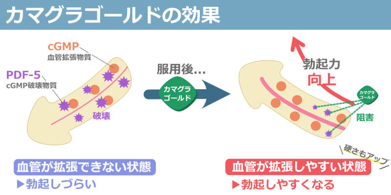 カマグラゴールド 効果