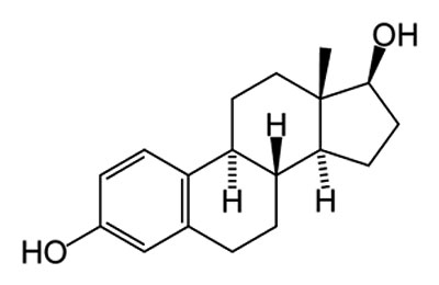 エストロゲンとは